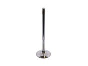 Mercedes Intake Valve - TRW 2710531001