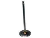 BMW Intake Valve - Intervalves 11341435480