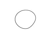 VW Differential Cover O-Ring - Elring 113301185A