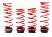 BMW VTF Adjustable Lowering Spring Set - H&R 23000-1