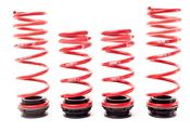BMW VTF Adjustable Lowering Spring Set - H&R 23000-2
