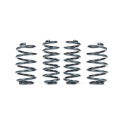 VW Lowering Spring Set - Racingline VWR31G8GT
