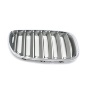 BMW Kidney Grille Left - Genuine BMW 51137124815