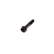 VW SCREW - Genuine VW  N10013401
