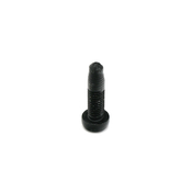 BMW Fillister Head Screw (M10X37) - Genuine BMW 07149156953