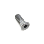 VW Disc Brake Rotor Set Screw - Genuine VW N90571202