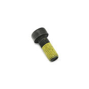 BMW Clutch Flywheel Bolt - Genuine BMW 11227805708