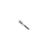 VW Allen Bolt - Genuine VW  N10080204