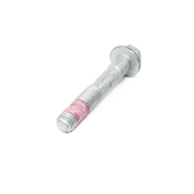 Mini Cooper Crankshaft Bolt - Rein 11237829918