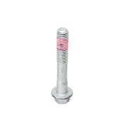 Mini Cooper Crankshaft Bolt - Rein 11237829918