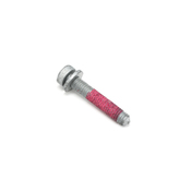 BMW Isa Screw With Washer (M6X35-8.8-Zns3) - Genuine BMW 25167571260