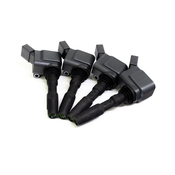 Audi Ignition Coil Kit - Bosch 04E905110KKT