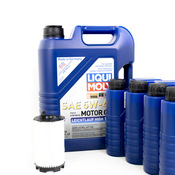 Audi Engine Oil Change Kit - Liqui Moly 079198405EKT6