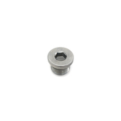 BMW Screw Plug - Genuine BMW 07119908550