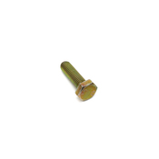 BMW Hex Bolt (M10X35) - Genuine BMW 07119913843