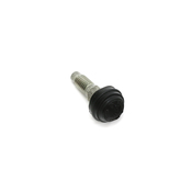 BMW Bleeder Valve - Genuine BMW 34219023168