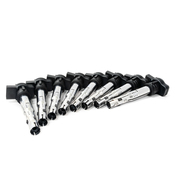 Audi Ignition Coil Kit - Bremi 07K905715FKT22