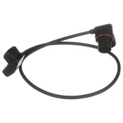 BMW Camshaft Position Sensor - Delphi 12141743072