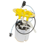 Audi Fuel Pump - Delphi 4F0919087F