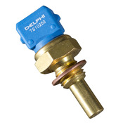 Porsche Temperature Sensor - Delphi TS10250
