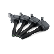 Audi Ignition Coil Kit - Beru 06L905110FKT2