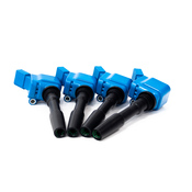 Audi Ignition Coil Kit - APR 06L905110FKT5