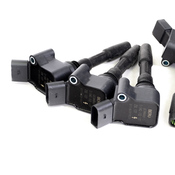 Audi Ignition Coil Kit - Beru 06H905110LKT2