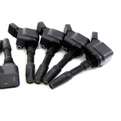 Audi Ignition Coil Kit - Beru 06L905110LKT14