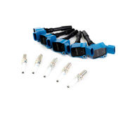 Audi Ignition Tune-Up Kit - APR 06H905110GKT9