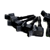 Audi Ignition Coil Kit - Beru 06L905110HKT8