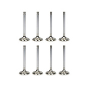 VW Performance Intake Valve Set - Ferrea F6030
