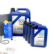 Audi Maintenance Service Kit - Liqui Moly 079198405DKT11
