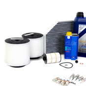 Audi Maintenance Service Kit - Liqui Moly 80005027KT