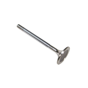 Porsche Intake Valve - AE V94551
