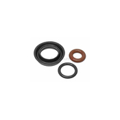 Volvo Fuel Injector Seal Kit - Elring 30731381