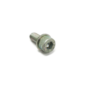 BMW Fillister Head Screw (M5X12) - Genuine BMW 07119902815
