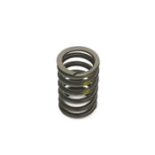 BMW Valve Spring - Genuine BMW 11341739472