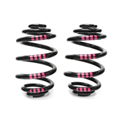 BMW Coil Spring Rear (M3) - Genuine BMW 33539069757