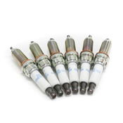 BMW Spark Plug Kit (Set of 6) - SILZKBR8D8SKT