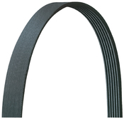 Porsche Serpentine Belt - Dayco 5060690