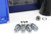 Audi Maintenance Service Kit - Liqui Moly 06J115403QKT43