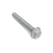 VW Belt Tensioner Bolt - Genuine VW WHT004920
