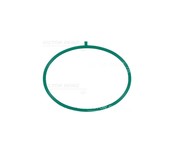 BMW Intake Manifold Gasket - Reinz 11619486362