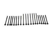 Audi VW Cylinder Head Bolt Set - Elring WHT005466