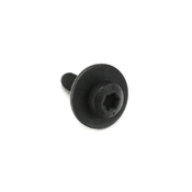 Audi Torx Bolt - Genuine VW Audi N90993601