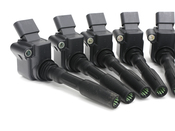 Audi Ignition Coil Kit - Eldor 06H905110LKT