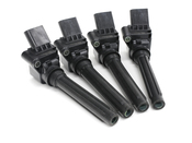 Audi Ignition Coil Kit - Genuine Audi VW 06L905110FKT3