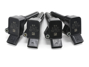 Audi Ignition Coil Kit - Genuine Audi VW 06L905110FKT3