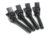 Audi Ignition Coil Kit - Genuine Audi VW 06L905110KKT