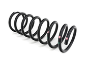 BMW Coil Spring - Genuine BMW 37121121973